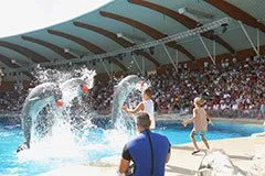 Парки Ольтремаре і дельфінарій, Ріміні, Італія